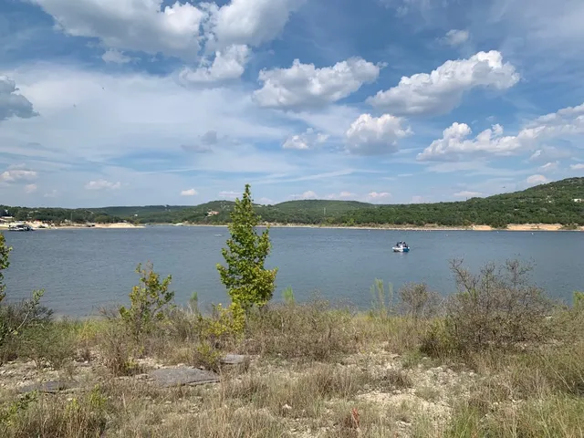 a view of a lush green forest with lots of trees