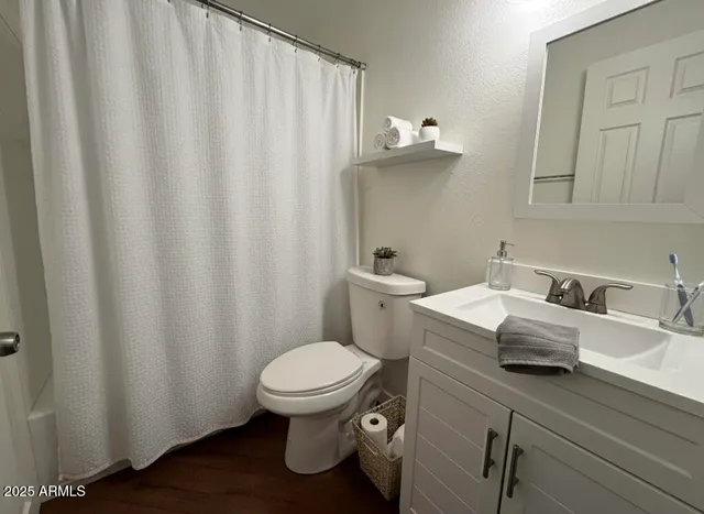a bathroom with a sink and a toilet