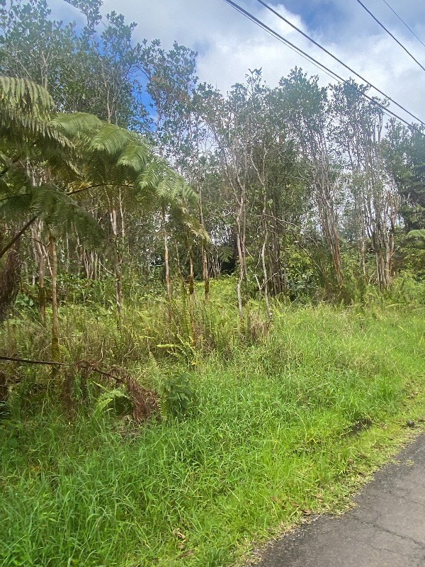909 Shell Road Pahoa, HI 96778 - Photo 2 of 3 Gallery Image 2