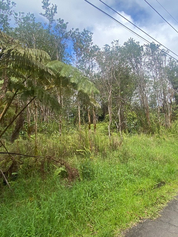 909 Shell Road Pahoa, HI 96778 - Photo 3 of 3 Gallery Image 3