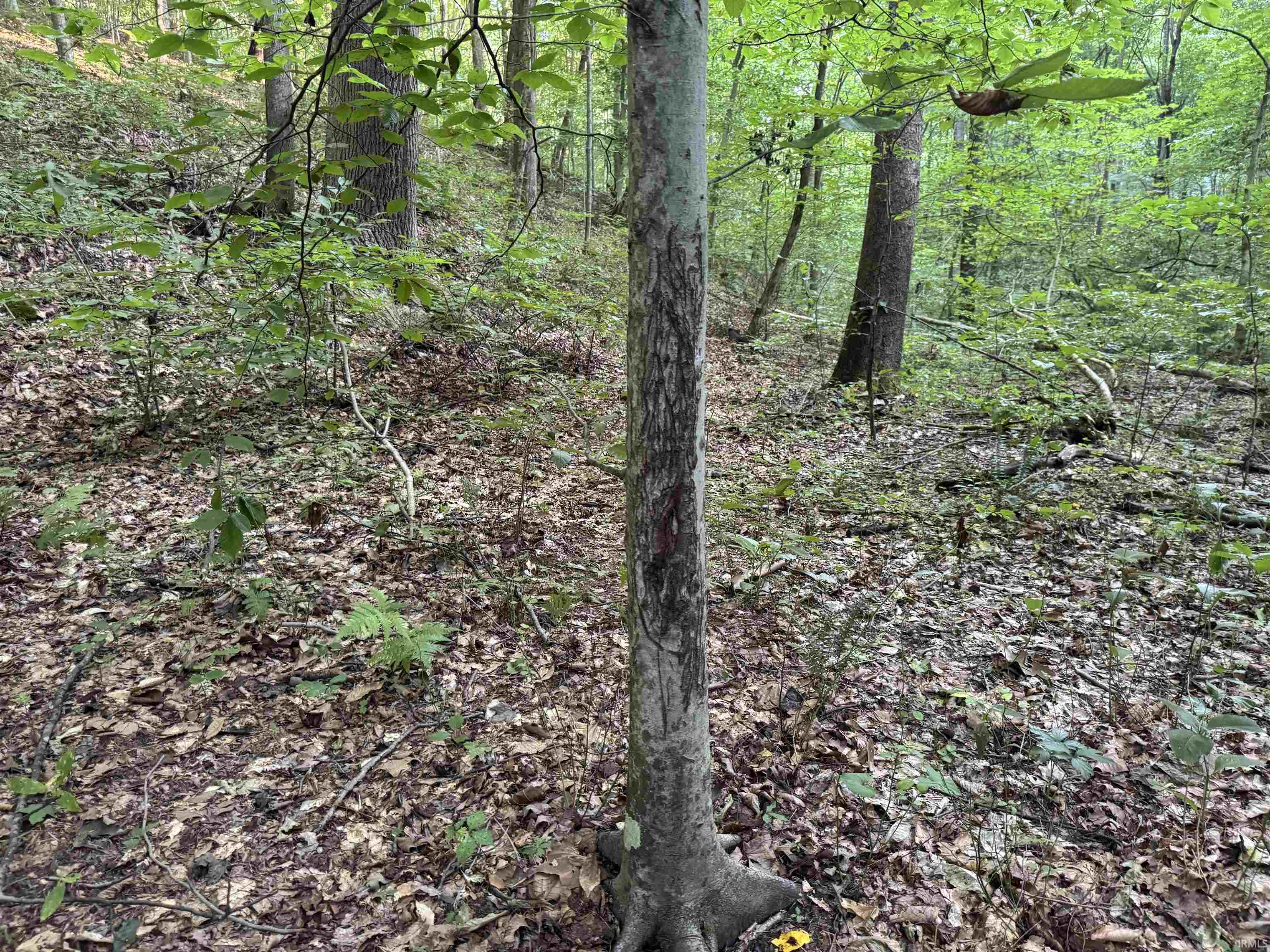 Brushy Fork Road Tell City, IN 47586 - Photo 36 of 47 Gallery Image 36