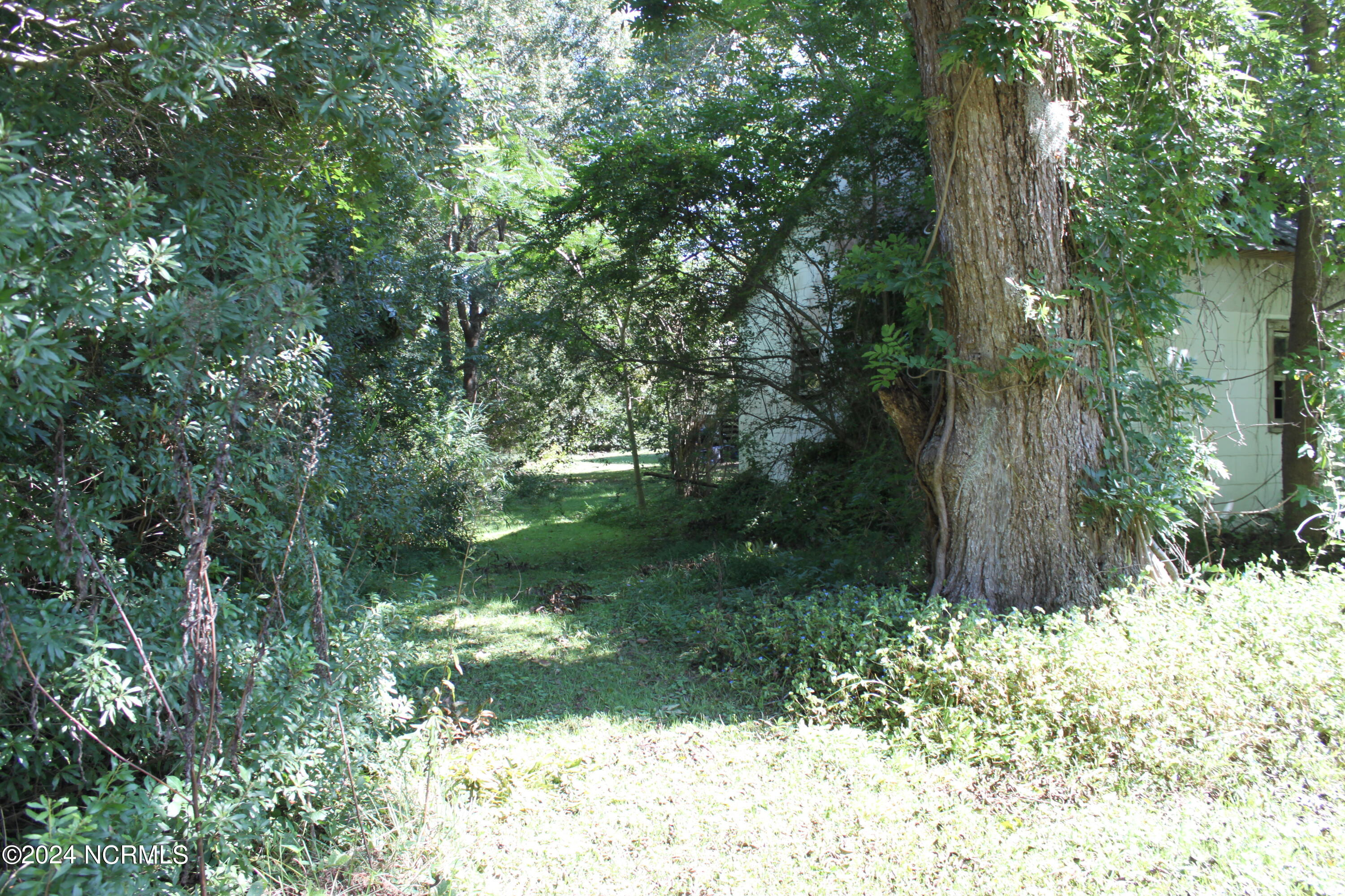 419 Cannons Ferry Road Tyner, NC 27980 - Photo 23 of 34 IMG_2368