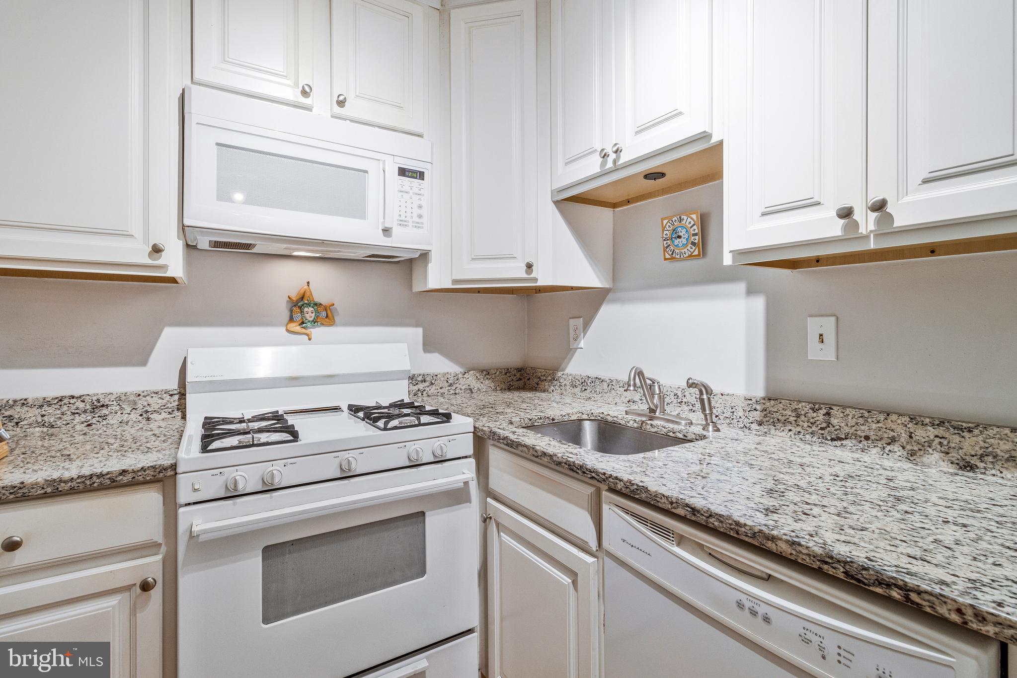 801 North Pitt Street, Unit 1006 Alexandria, VA 22314 - Photo 14 of 30 Gas range and granite countertops
