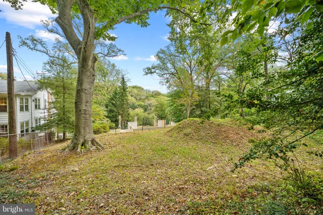 a view of yard with trees