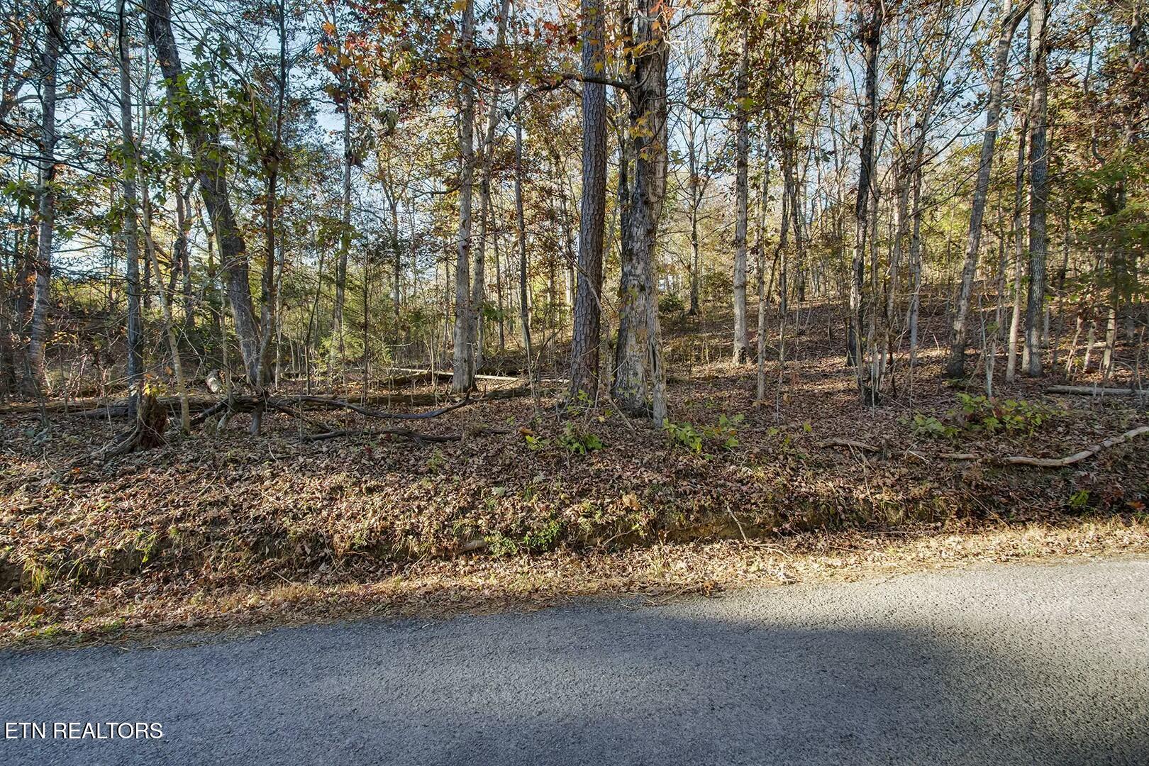 6-7 Morrison Road Decatur, TN 37322 - Photo 2 of 12 tempImage60s6gz