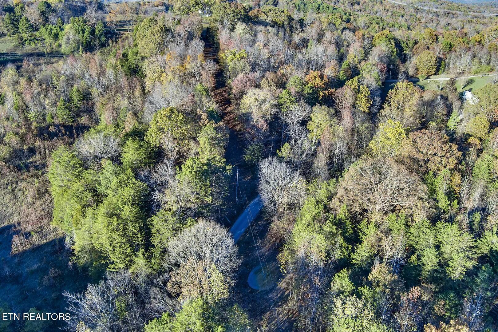 6-7 Morrison Road Decatur, TN 37322 - Photo 3 of 12 tempImageCFhu5Q