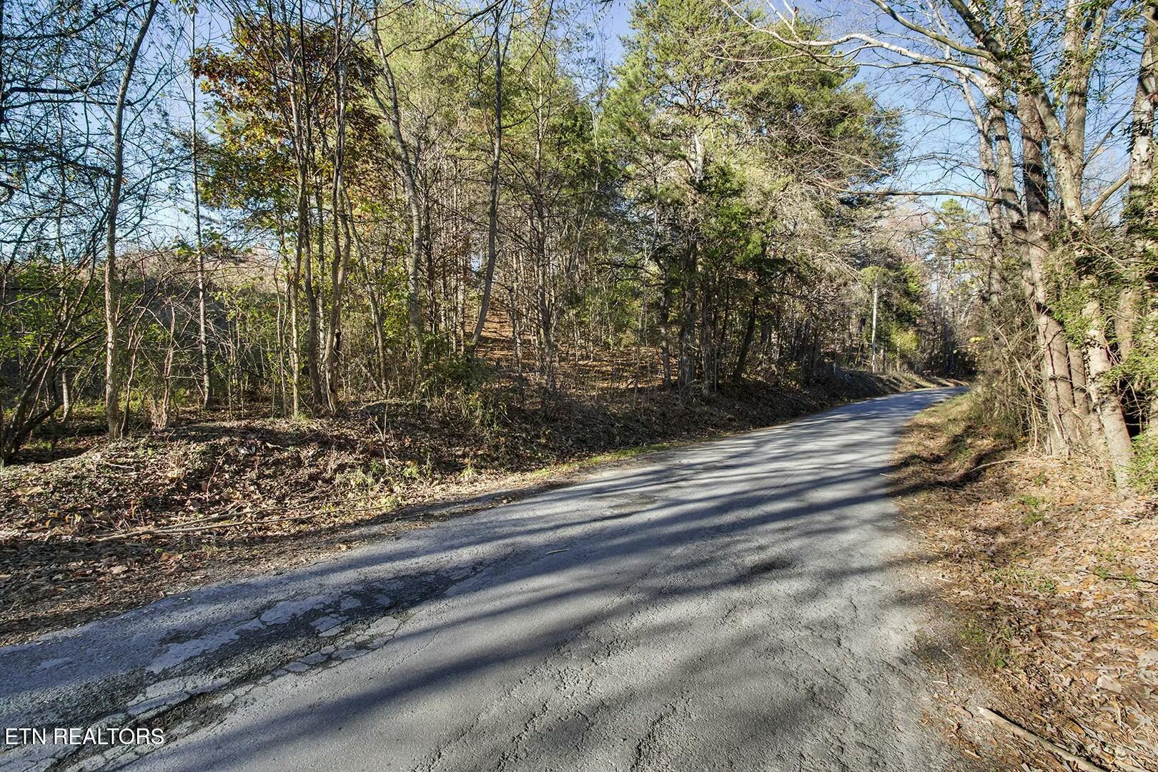6-7 Morrison Road Decatur, TN 37322 - Photo 4 of 12 tempImageuJoCPB