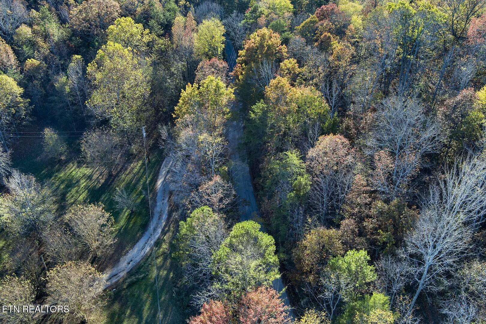 6-7 Morrison Road Decatur, TN 37322 - Photo 5 of 12 tempImageD4mrdW