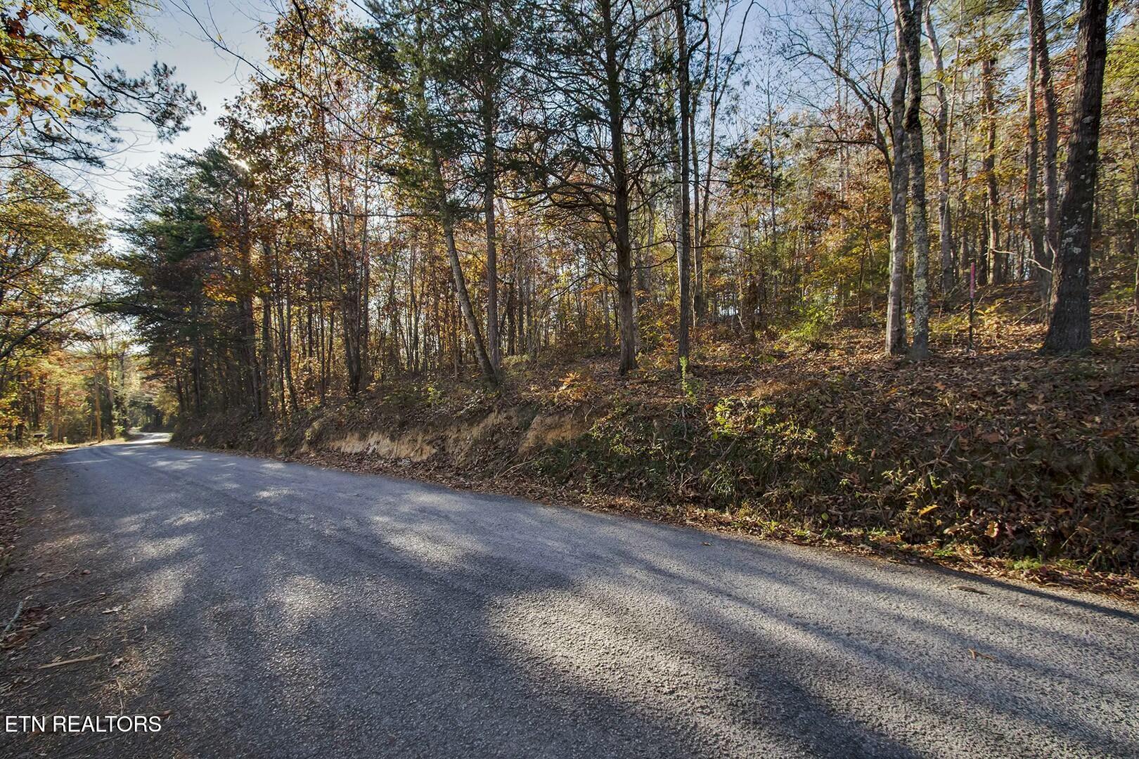 6-7 Morrison Road Decatur, TN 37322 - Photo 6 of 12 tempImageblMufU
