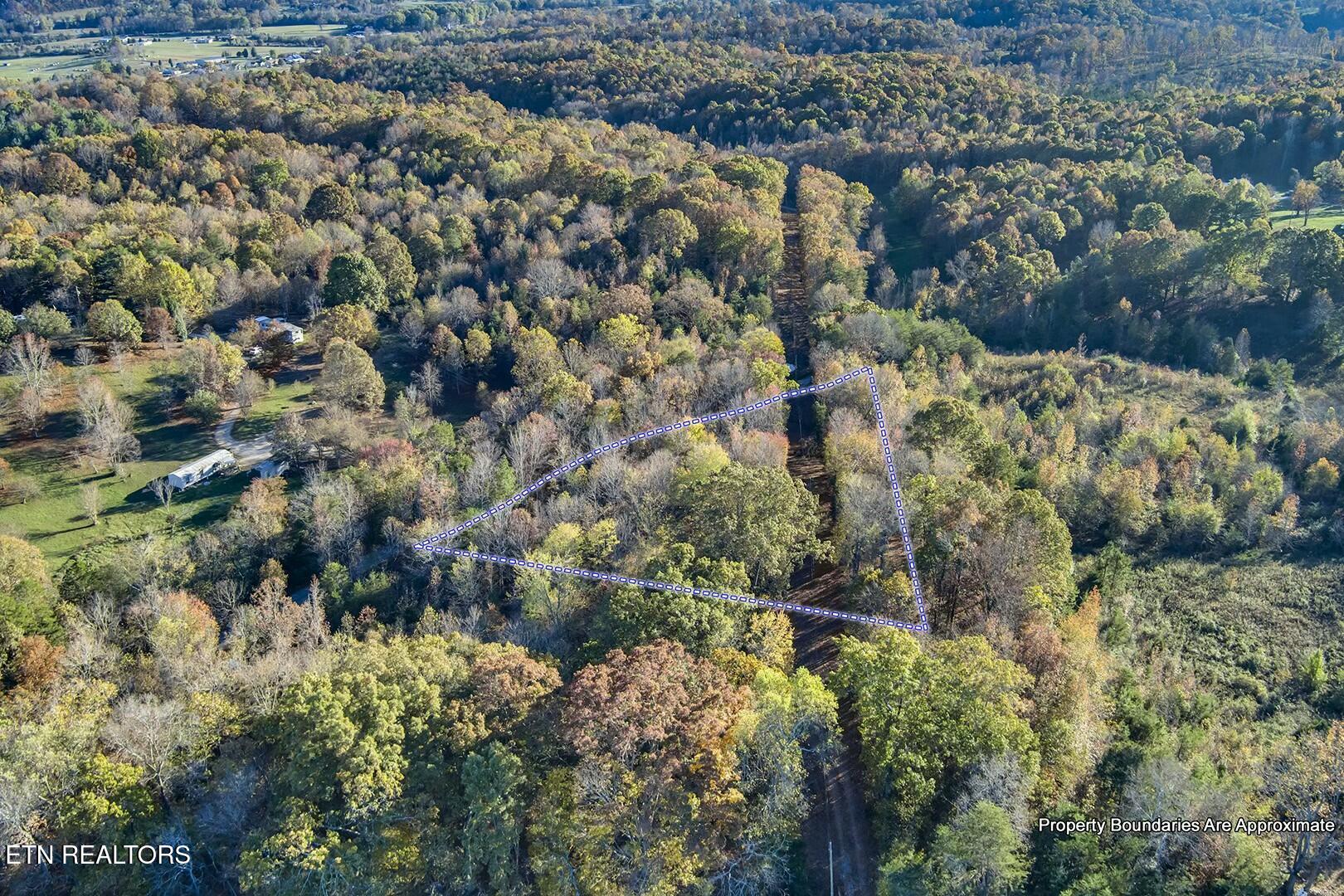 6-7 Morrison Road Decatur, TN 37322 - Photo 9 of 12 tempImageizFuA3