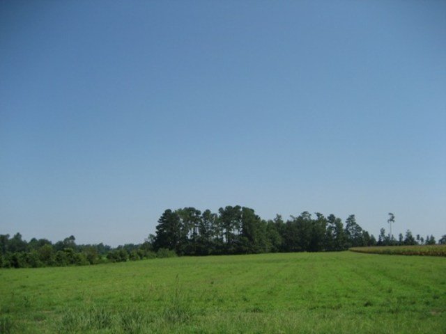 Tbd Elliott Road Green Sea, SC 29545 - Photo 1 of 4 Gallery Image 1