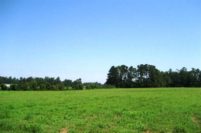 Tbd Elliott Road Green Sea, SC 29545 - Photo 3 of 4 Gallery Image 3