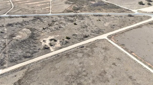 a view of a dry yard with trees