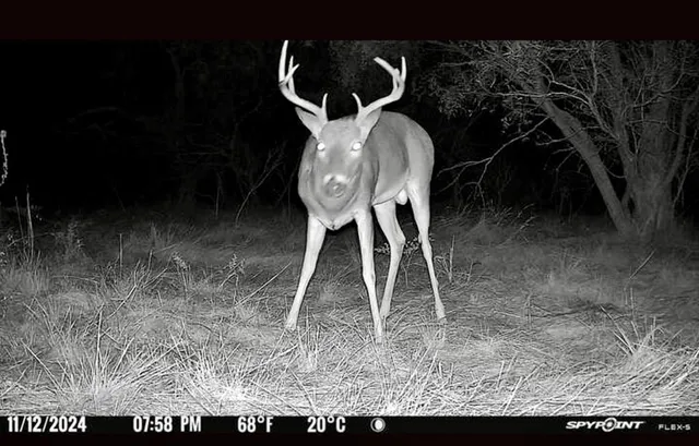 a view of a bath tub