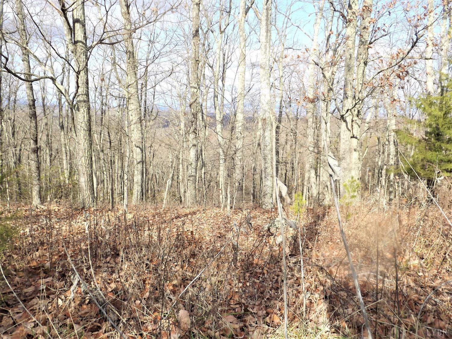 0 Cresthill Road Lynchburg, VA 24504 - Photo 7 of 17 Gallery Image 7