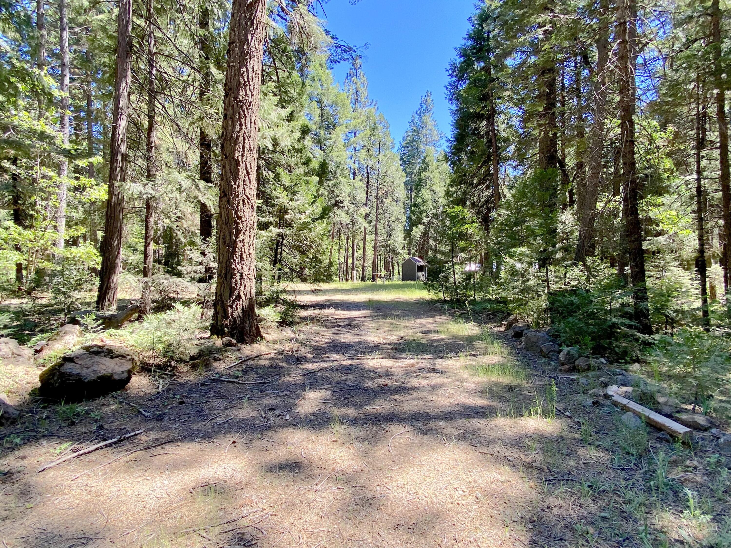 33117 Sites Road Shingletown, CA 96088 - Photo 3 of 23 a view of outdoor space with trees