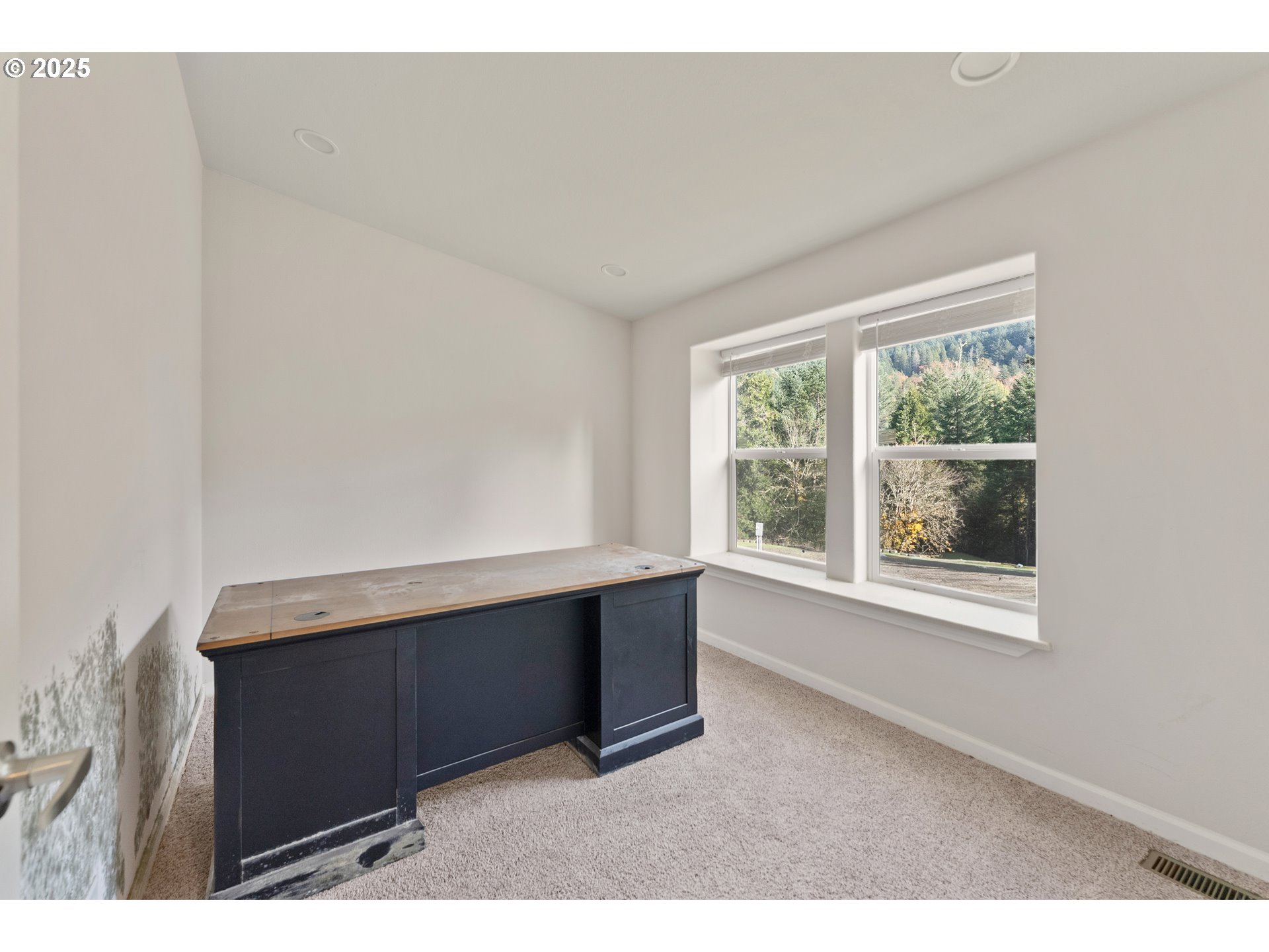 712 Sibold Canyon Road Tenmile, OR 97481 - Photo 21 of 48