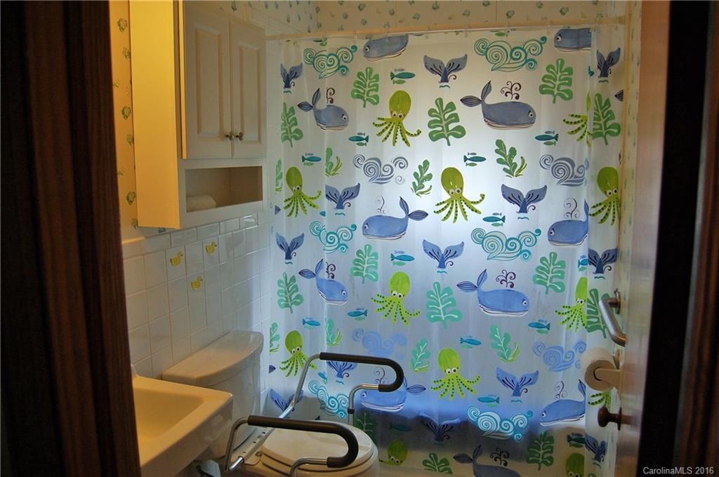 189 Brevard Road Asheville, NC 28806 - Photo 11 of 23 Gallery Image 11