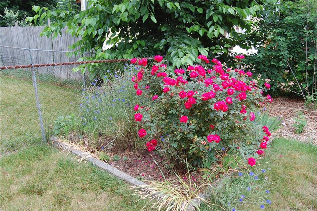 189 Brevard Road Asheville, NC 28806 - Photo 17 of 23 Gallery Image 17