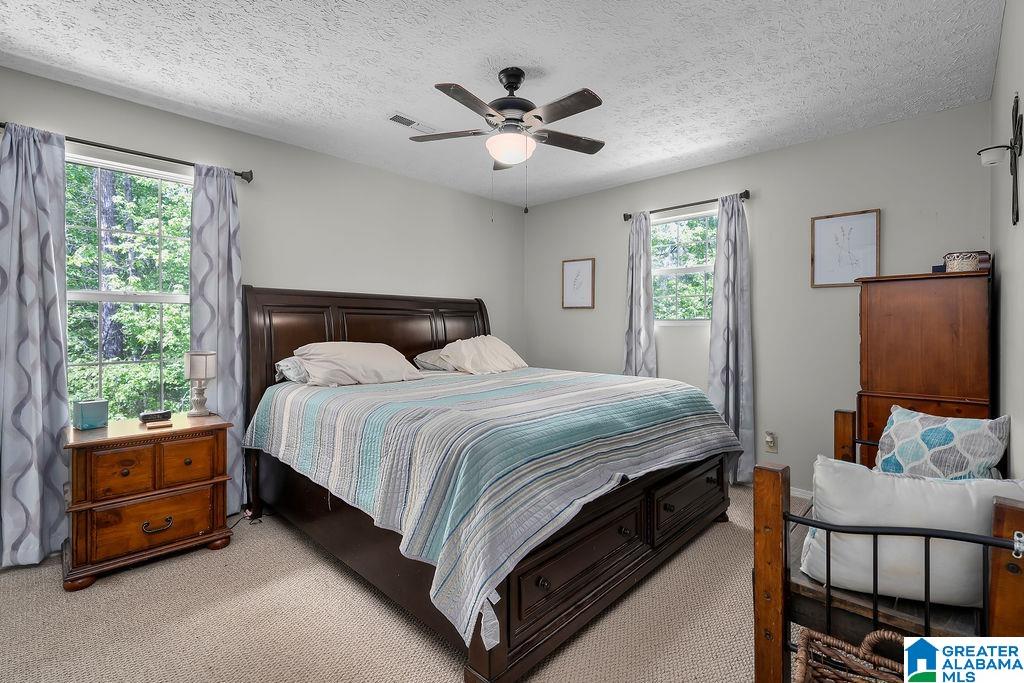 5875 Snowville Brent Road Dora, AL 35062 - Photo 17 of 27
