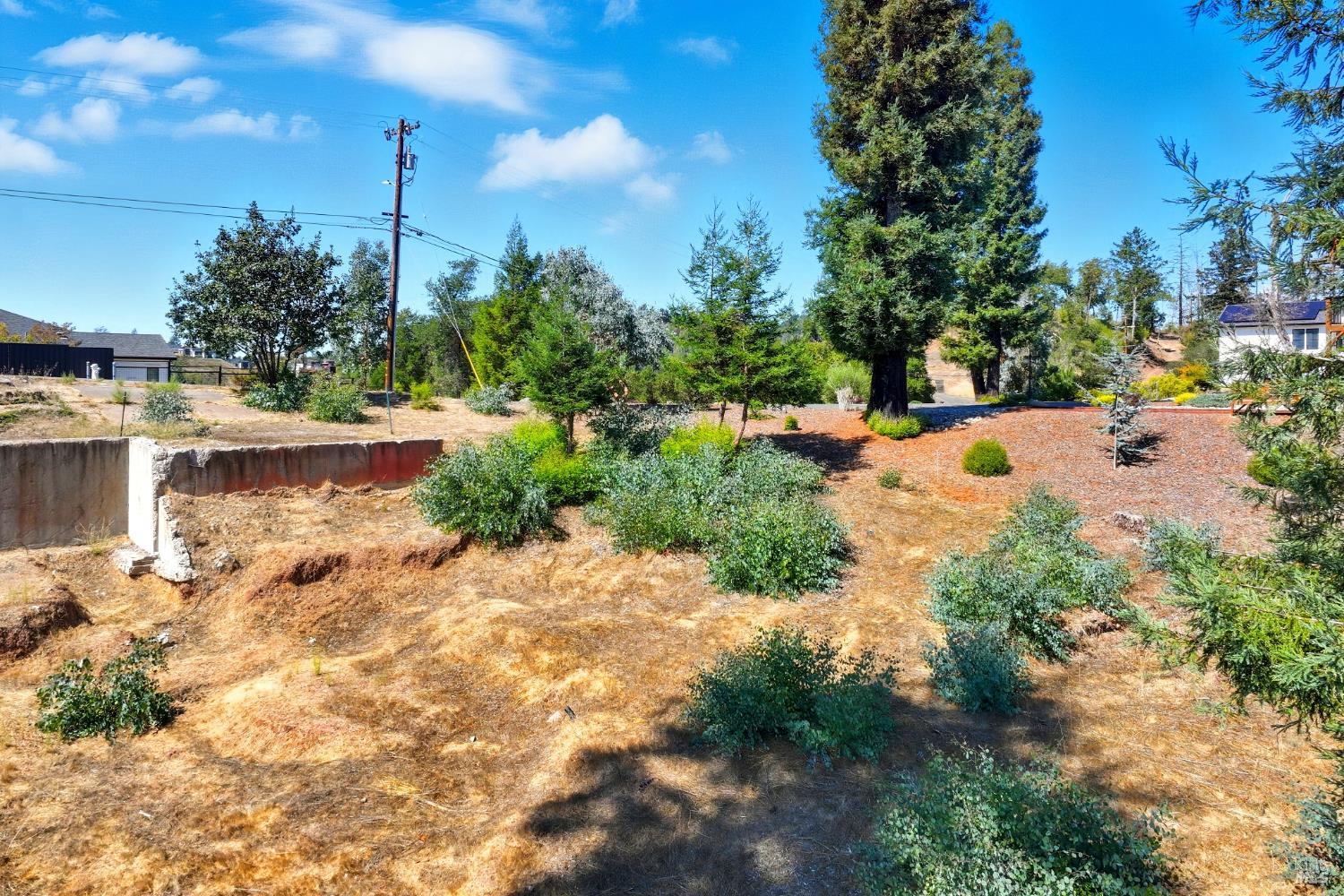 1436 Lorraine Way Santa Rosa, CA 95404 - Photo 13 of 14 a view of a garden with a tree