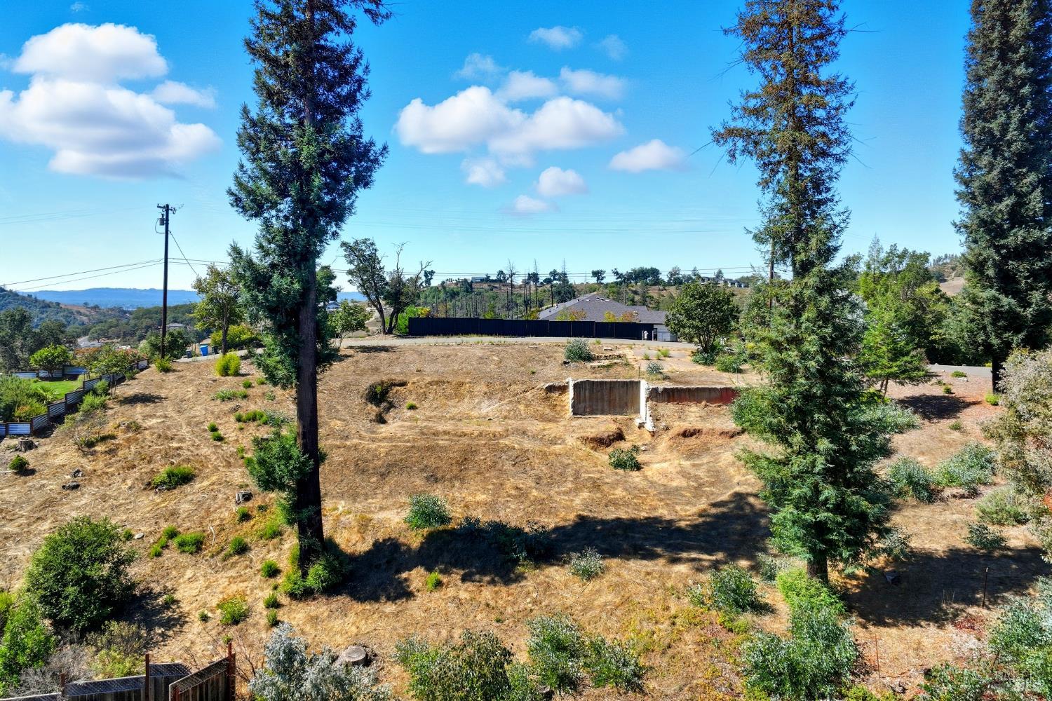 1436 Lorraine Way Santa Rosa, CA 95404 - Photo 9 of 14 a view of a yard with plants