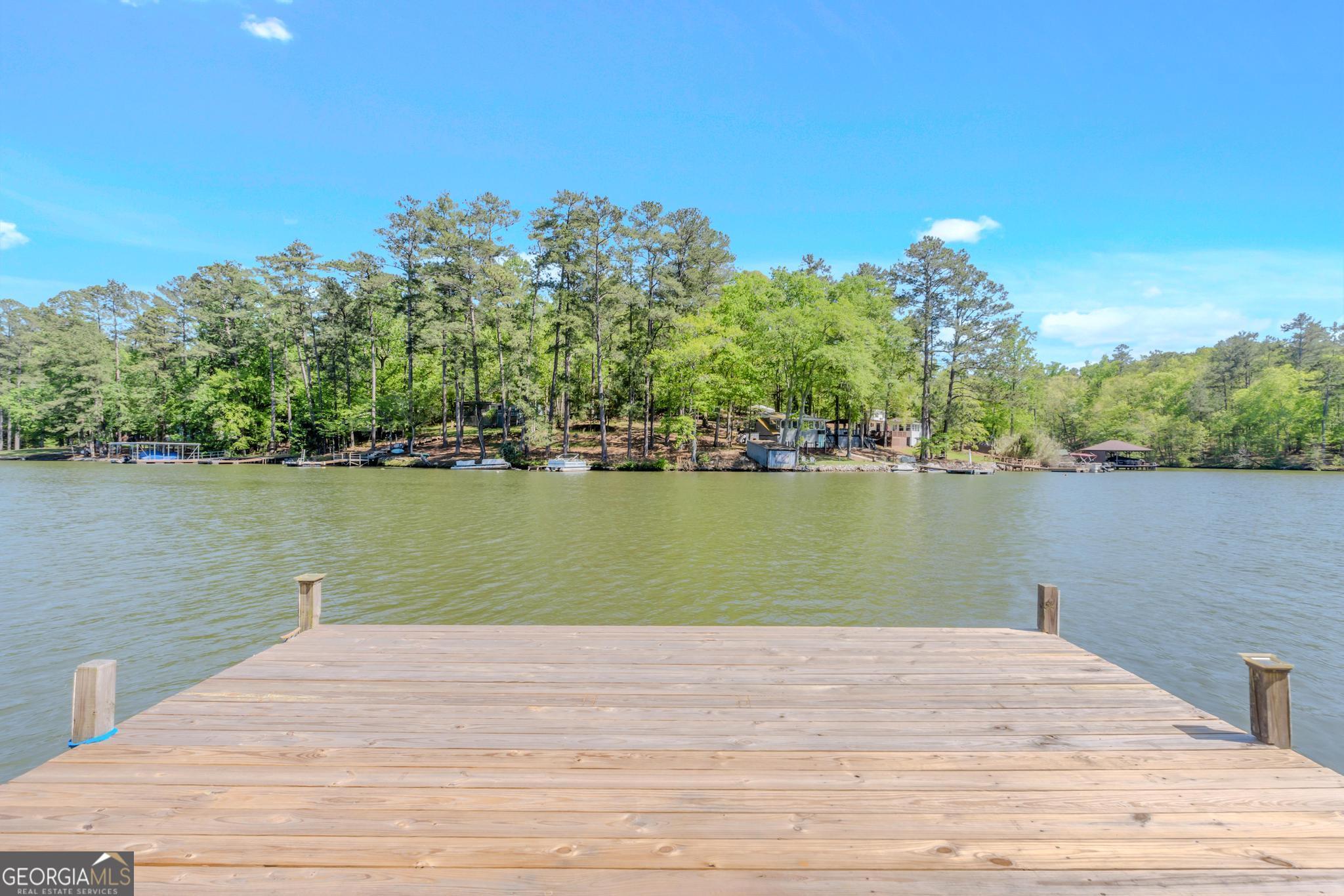 136 Yancey Road Jackson, GA 30233 - Photo 29 of 37 a lake view