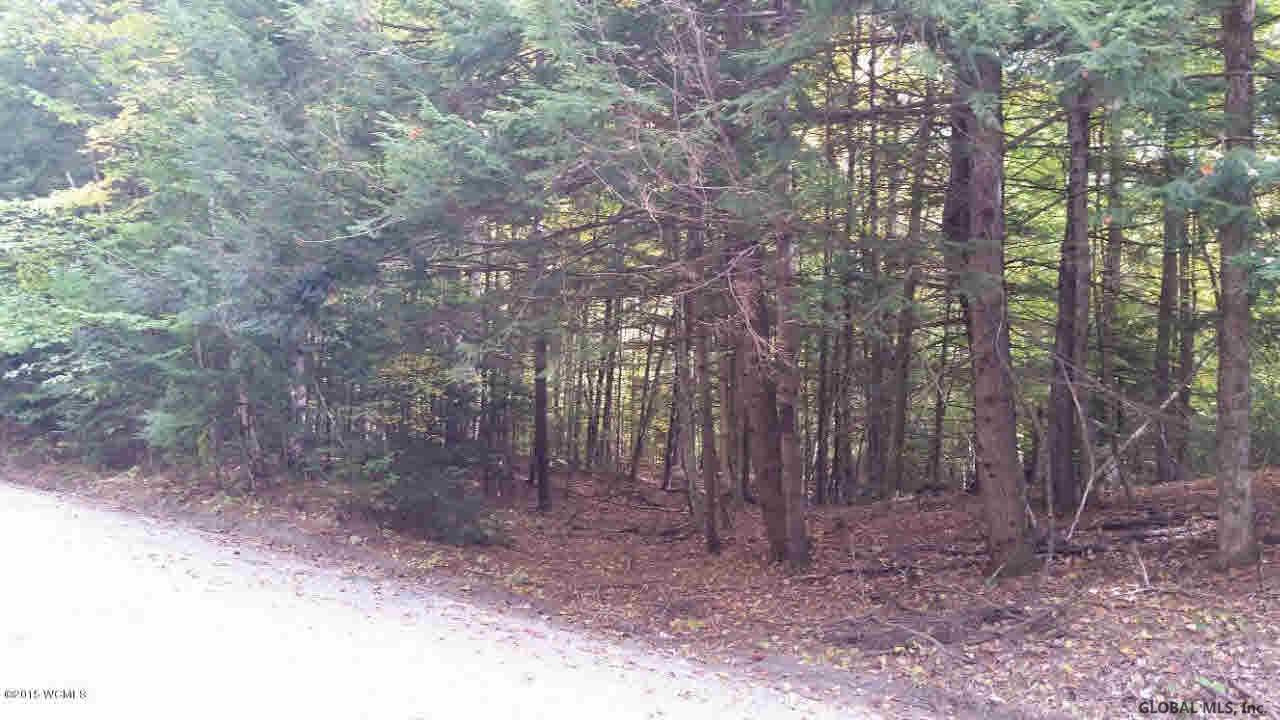 0 Moffitt Road Chestertown, NY 12817 - Photo 1 of 1 Photo 1