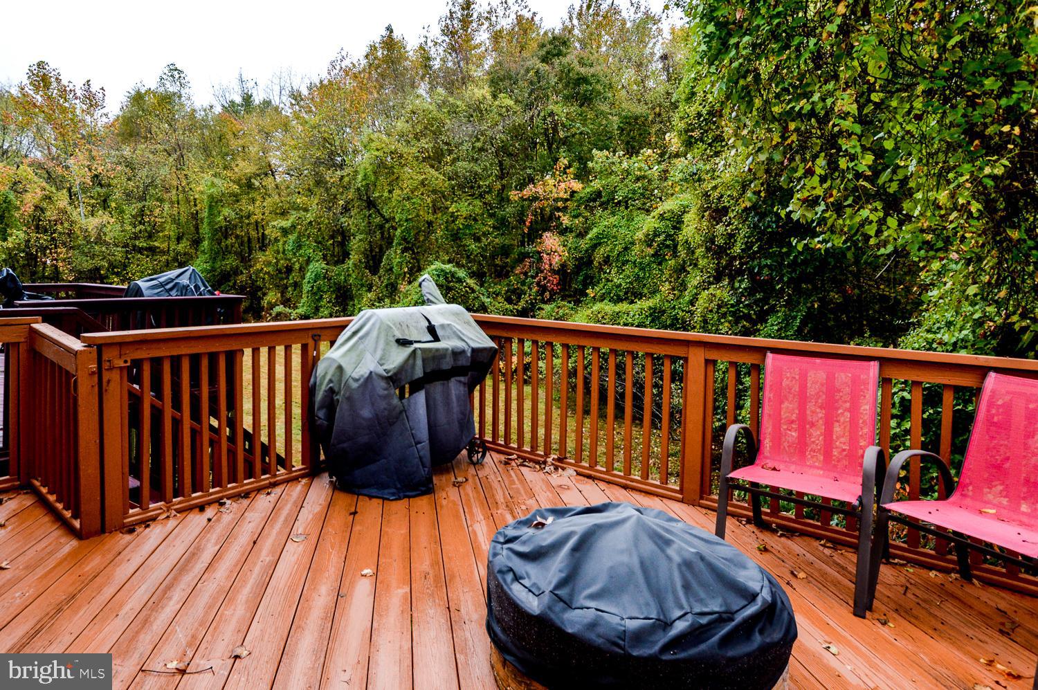 8534 Ritchboro Road District Heights, MD 20747 - Photo 37 of 40 Fire pit and Grill Convey