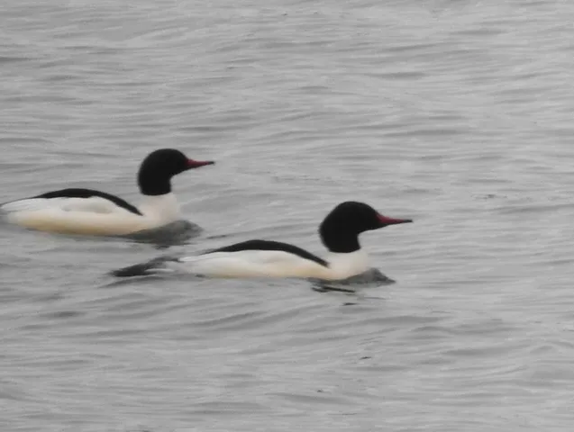 a bathroom with a sink