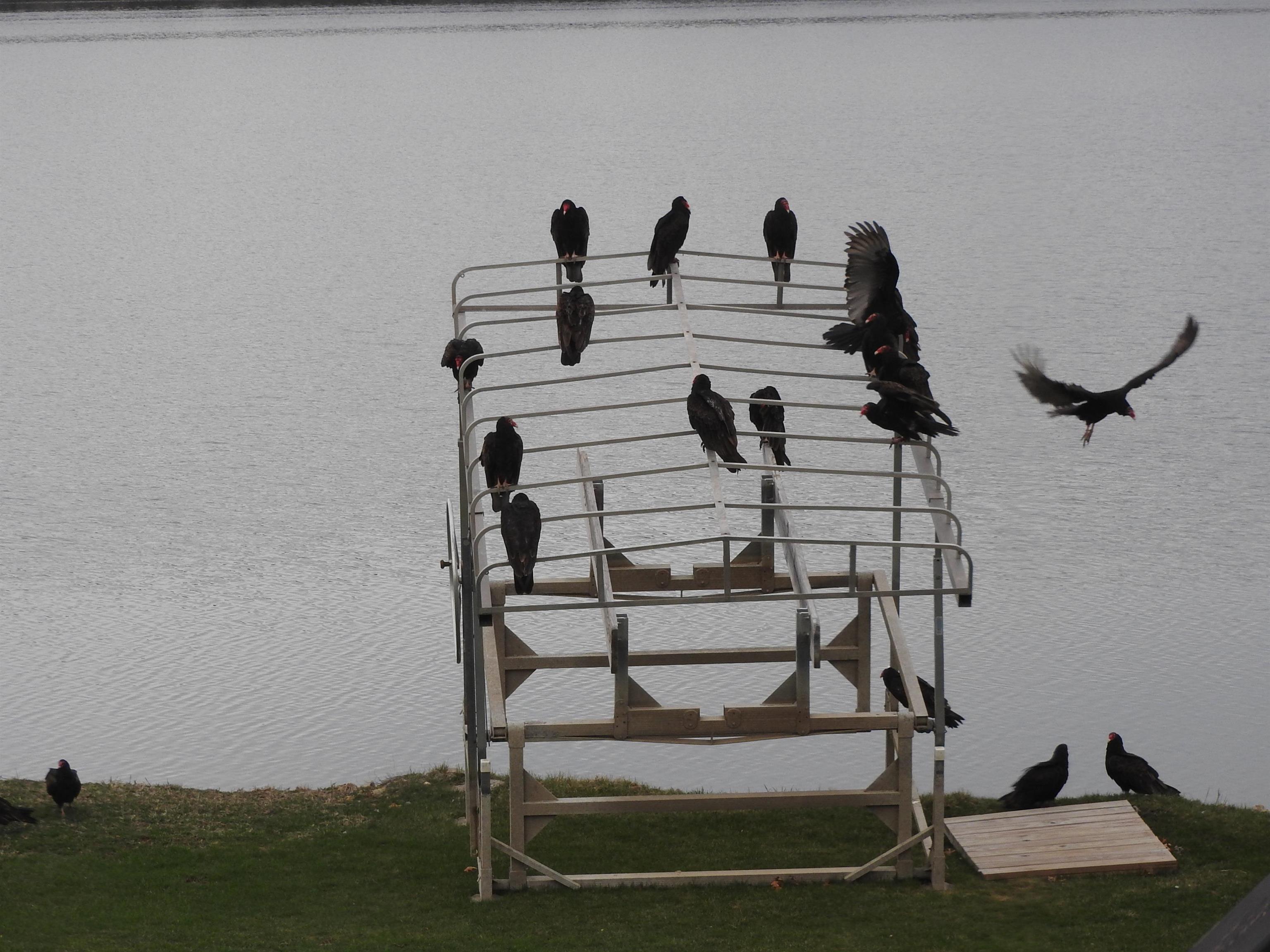 1306 Chadbourne Drive Lake Summerset, IL 61019 - Photo 27 of 56 a view of entryway with wooden floor