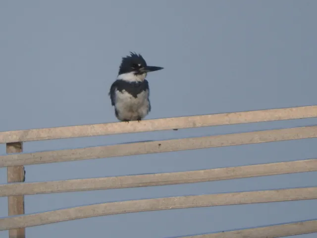 a close view of sink