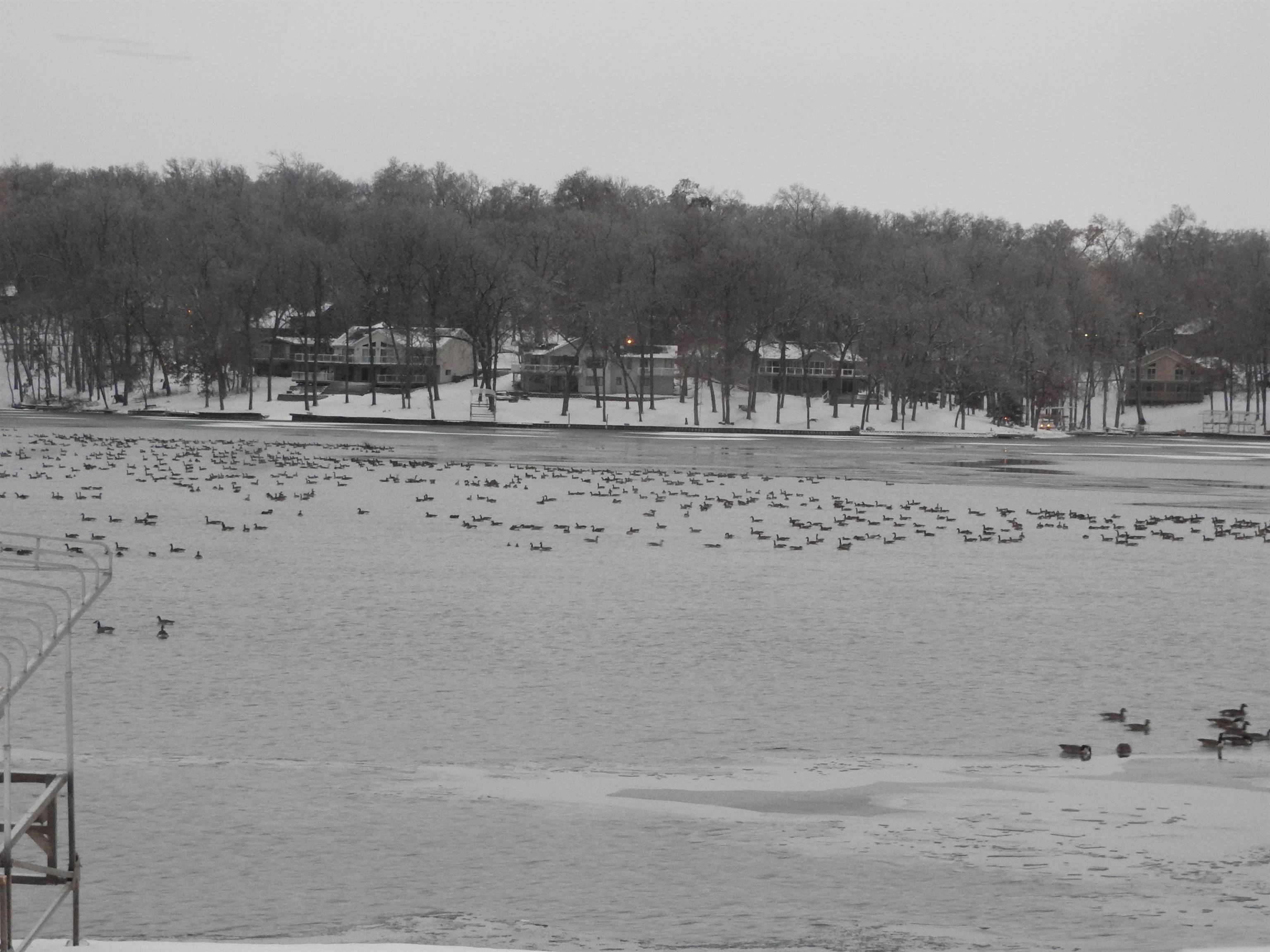1306 Chadbourne Drive Lake Summerset, IL 61019 - Photo 32 of 56 a view of swimming pool with a yard