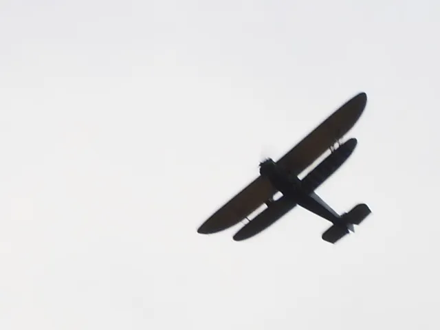 an aerial view of a yard