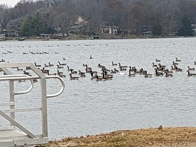 a view of swimming pool with a patio and a fire pit