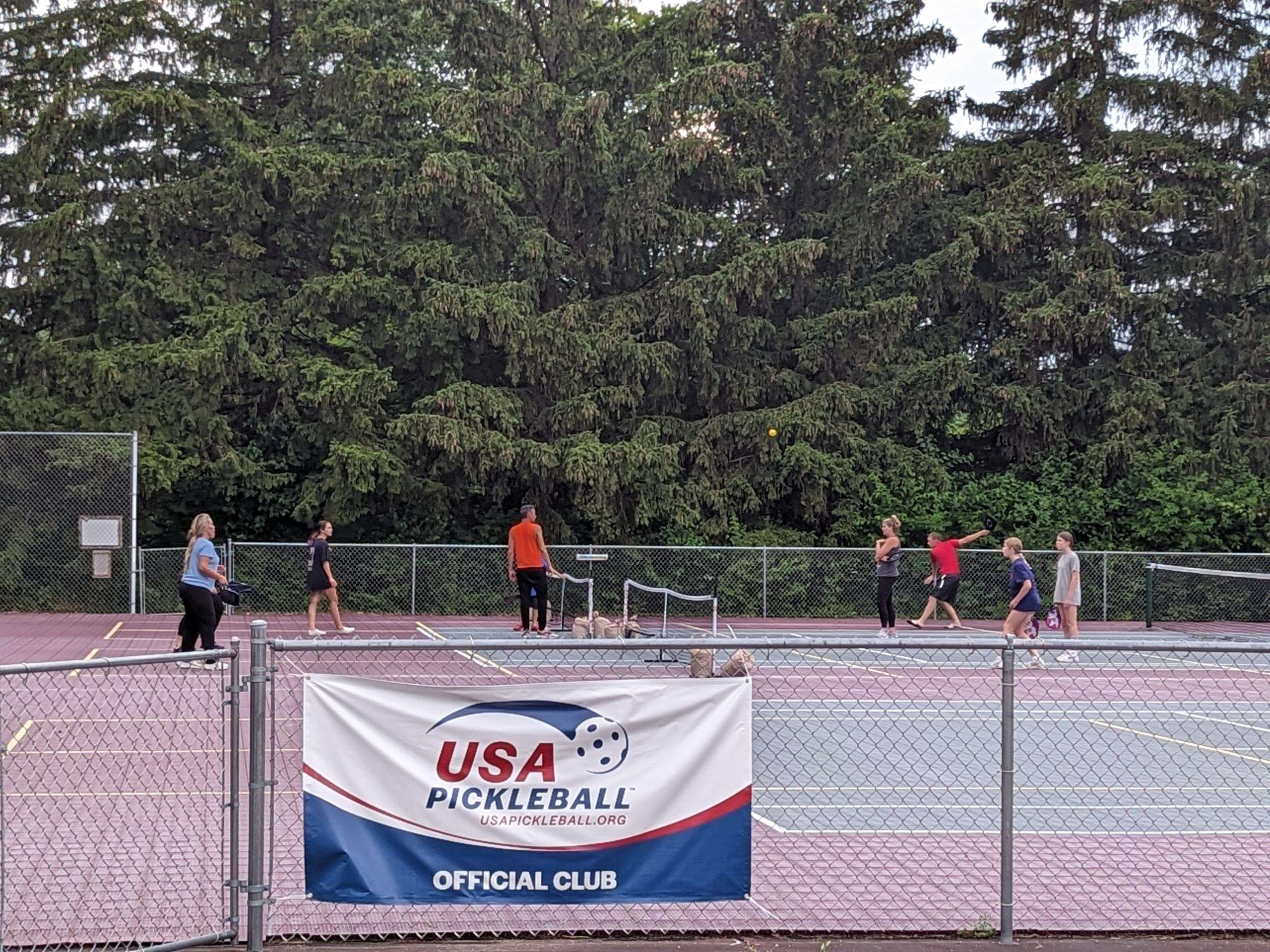 1306 Chadbourne Drive Lake Summerset, IL 61019 - Photo 52 of 56 a view of swimming pool with a patio and a fire pit