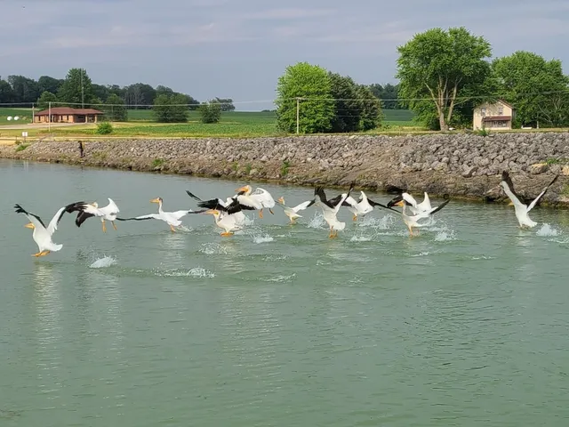 $4,300 | 1306 Chadbourne Drive, Lake Summerset, IL 61019