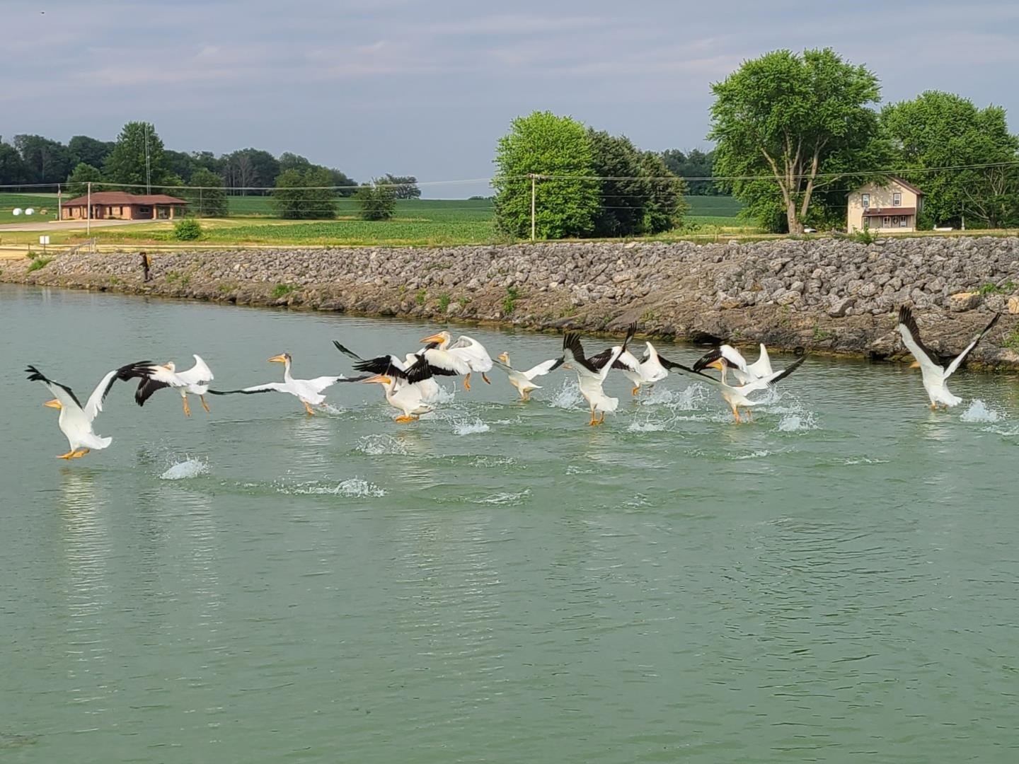 1306 Chadbourne Drive Lake Summerset, IL 61019 - Photo 56 of 56 a view of a lake with houses