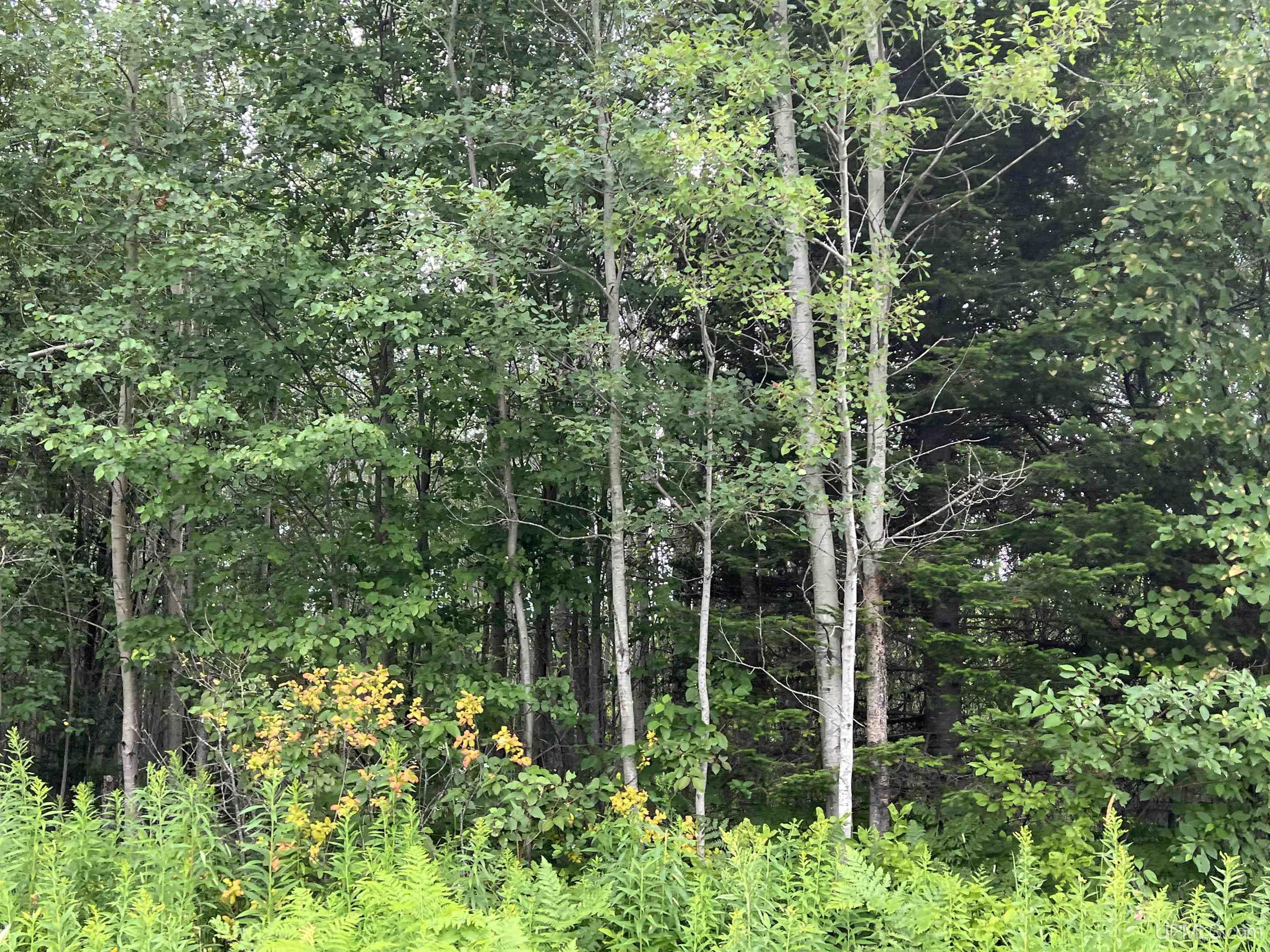 Tbd 40 A Tapio Road Chassell, MI 49916 - Photo 6 of 11
