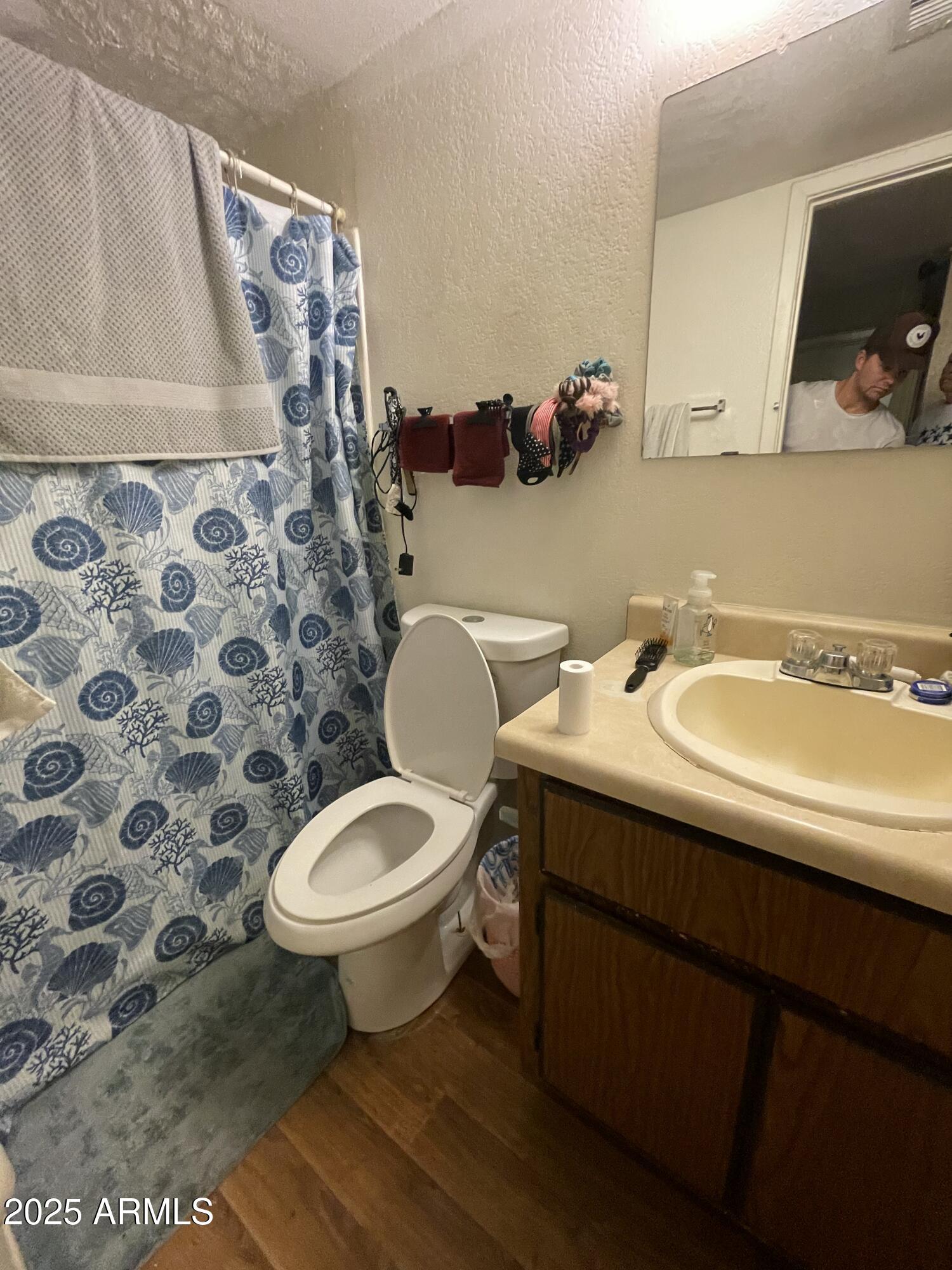 2813 East Monte Cristo Avenue Phoenix, AZ 85032 - Photo 12 of 26 a bathroom with a sink toilet and mirror