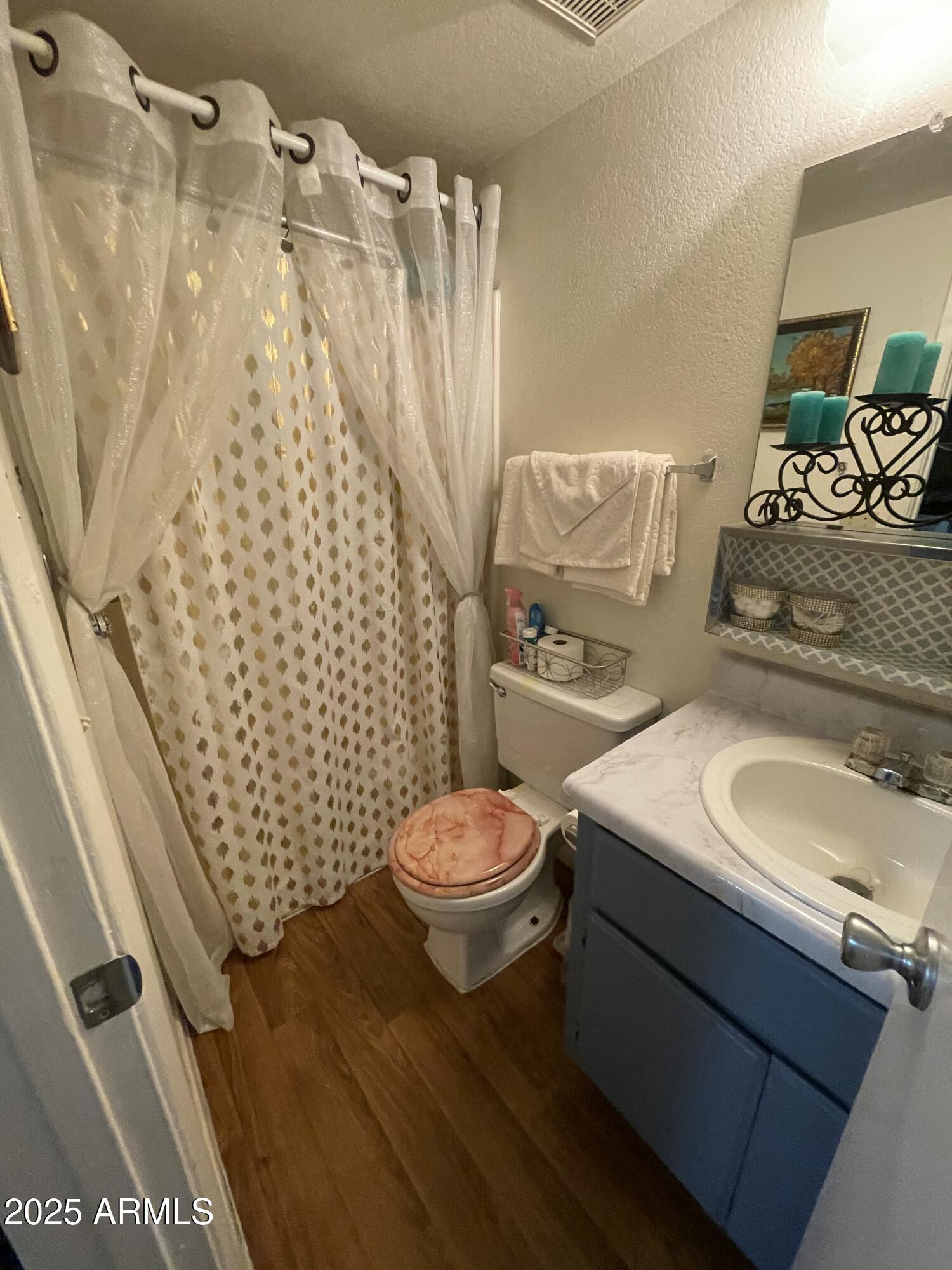 2813 East Monte Cristo Avenue Phoenix, AZ 85032 - Photo 20 of 26 a bathroom with a sink toilet and shower