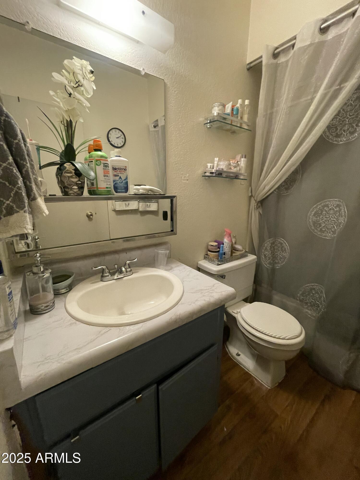 2813 East Monte Cristo Avenue Phoenix, AZ 85032 - Photo 25 of 26 a bathroom with a sink and a mirror