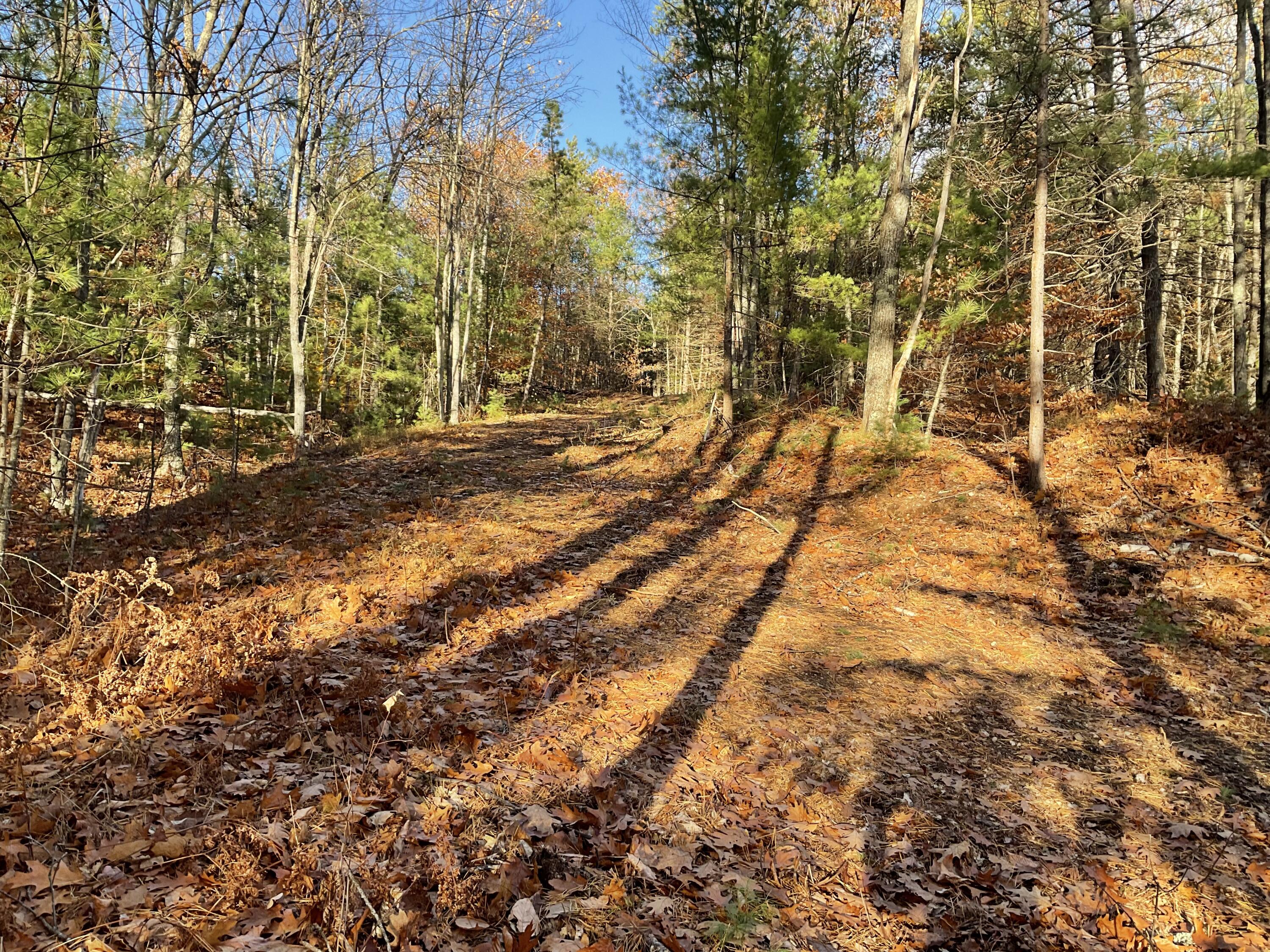 29 C Shepherds River Road Brownfield, ME 04010 - Photo 11 of 18 IMG_7924
