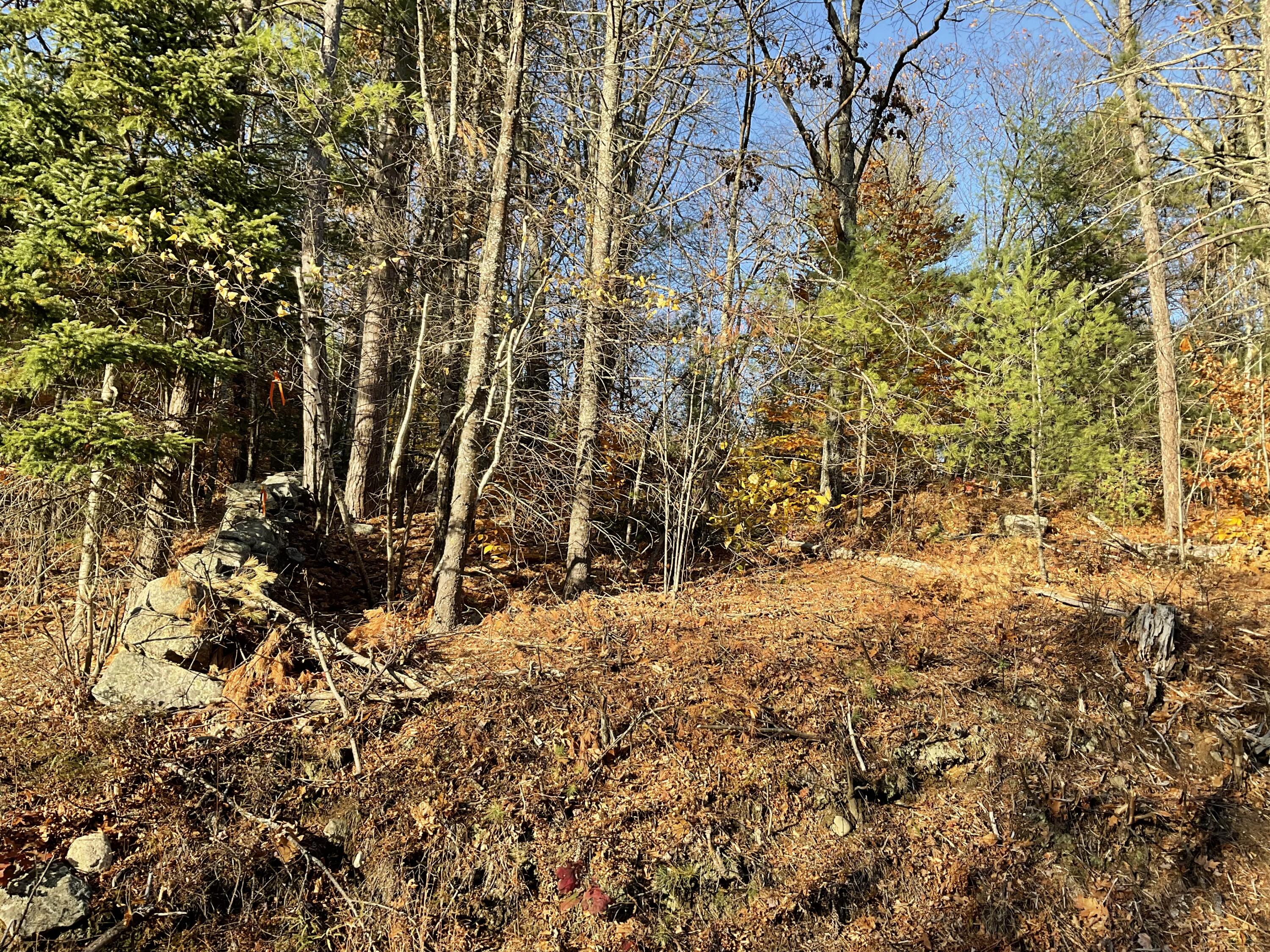 29 C Shepherds River Road Brownfield, ME 04010 - Photo 13 of 18 IMG_7919