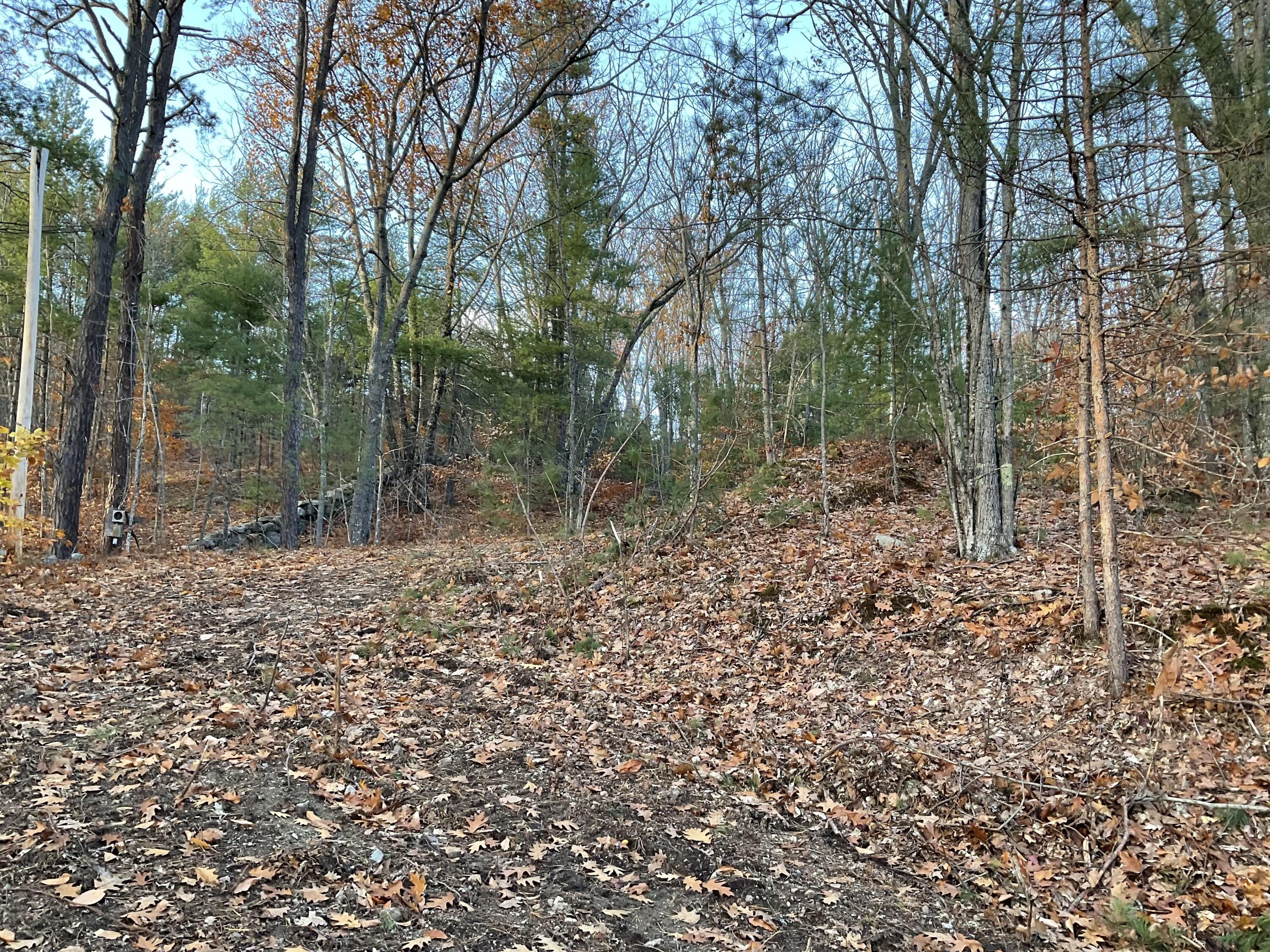 29 C Shepherds River Road Brownfield, ME 04010 - Photo 3 of 18 IMG_7936