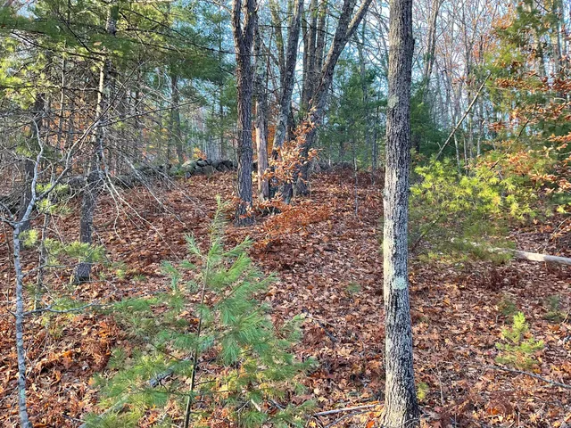 $99,500 | 29 C Shepherds River Road, Brownfield, ME 04010