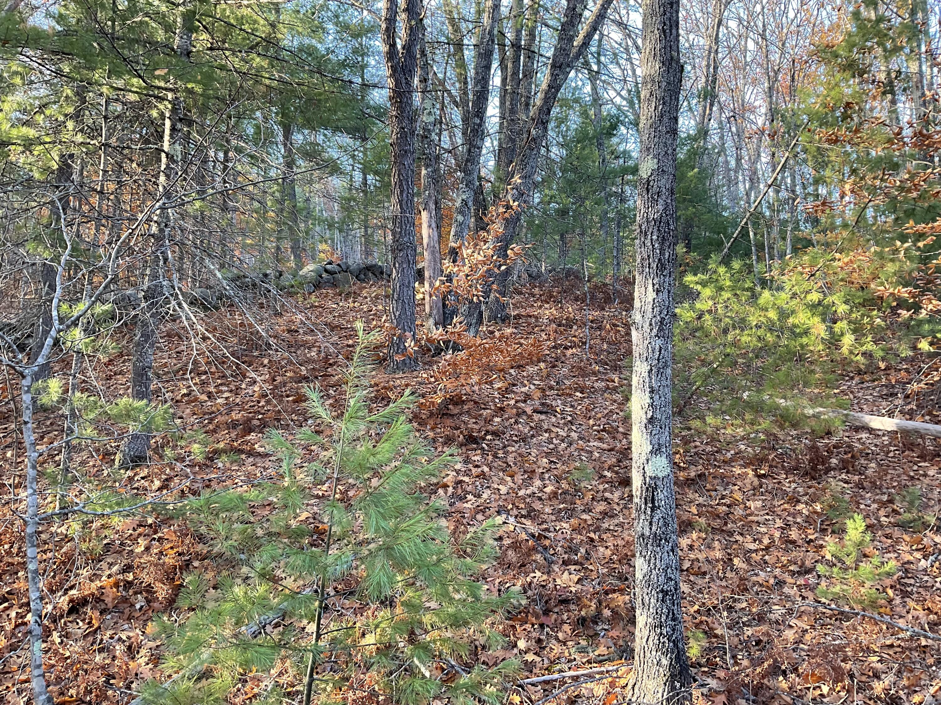 29 C Shepherds River Road Brownfield, ME 04010 - Photo 5 of 18 IMG_7932