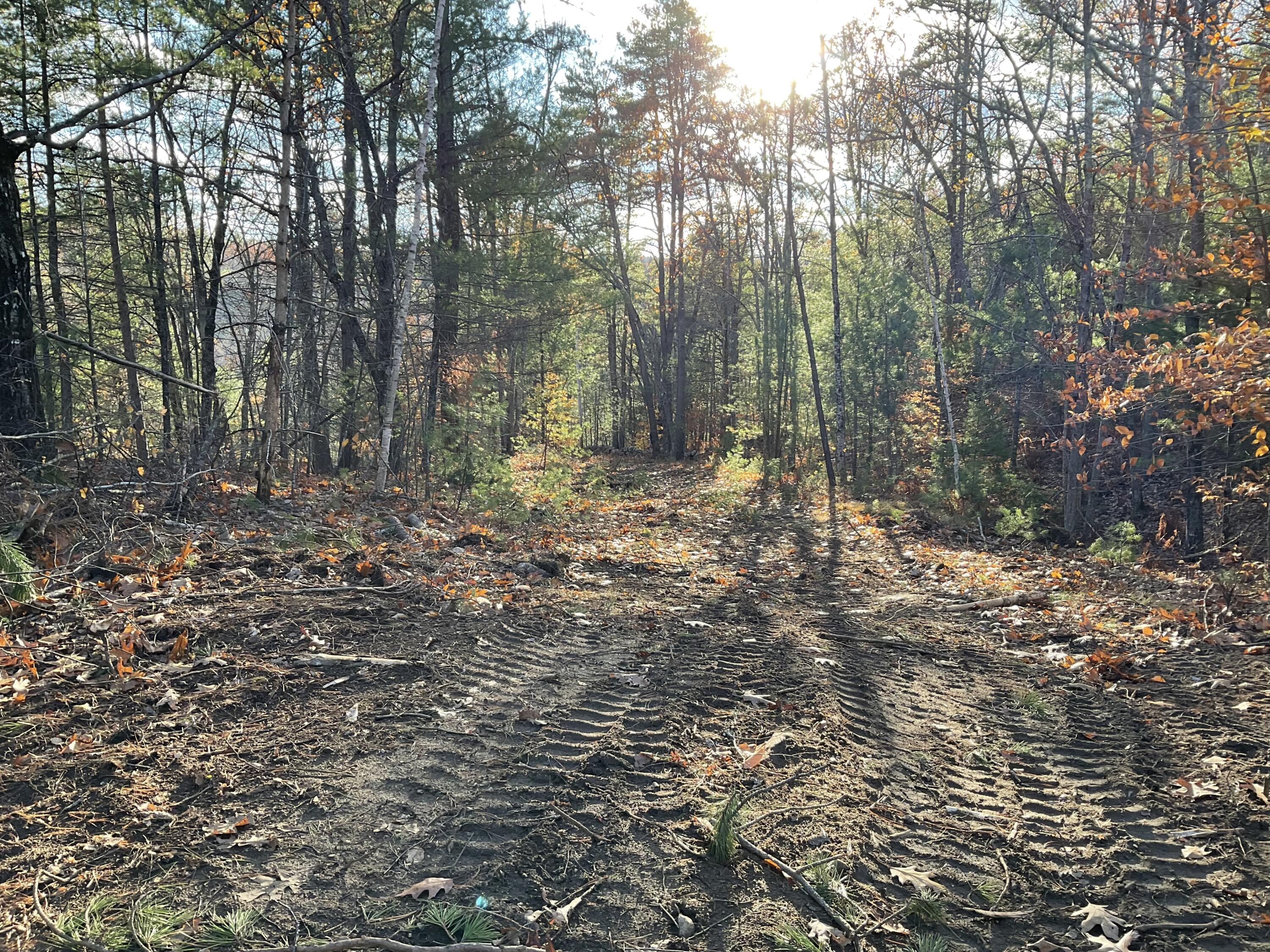 29 C Shepherds River Road Brownfield, ME 04010 - Photo 8 of 18 IMG_7929