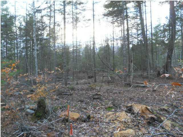 Lot 3 Black Road Searsport, ME 04974 - Photo 5 of 5 Land/Lot.