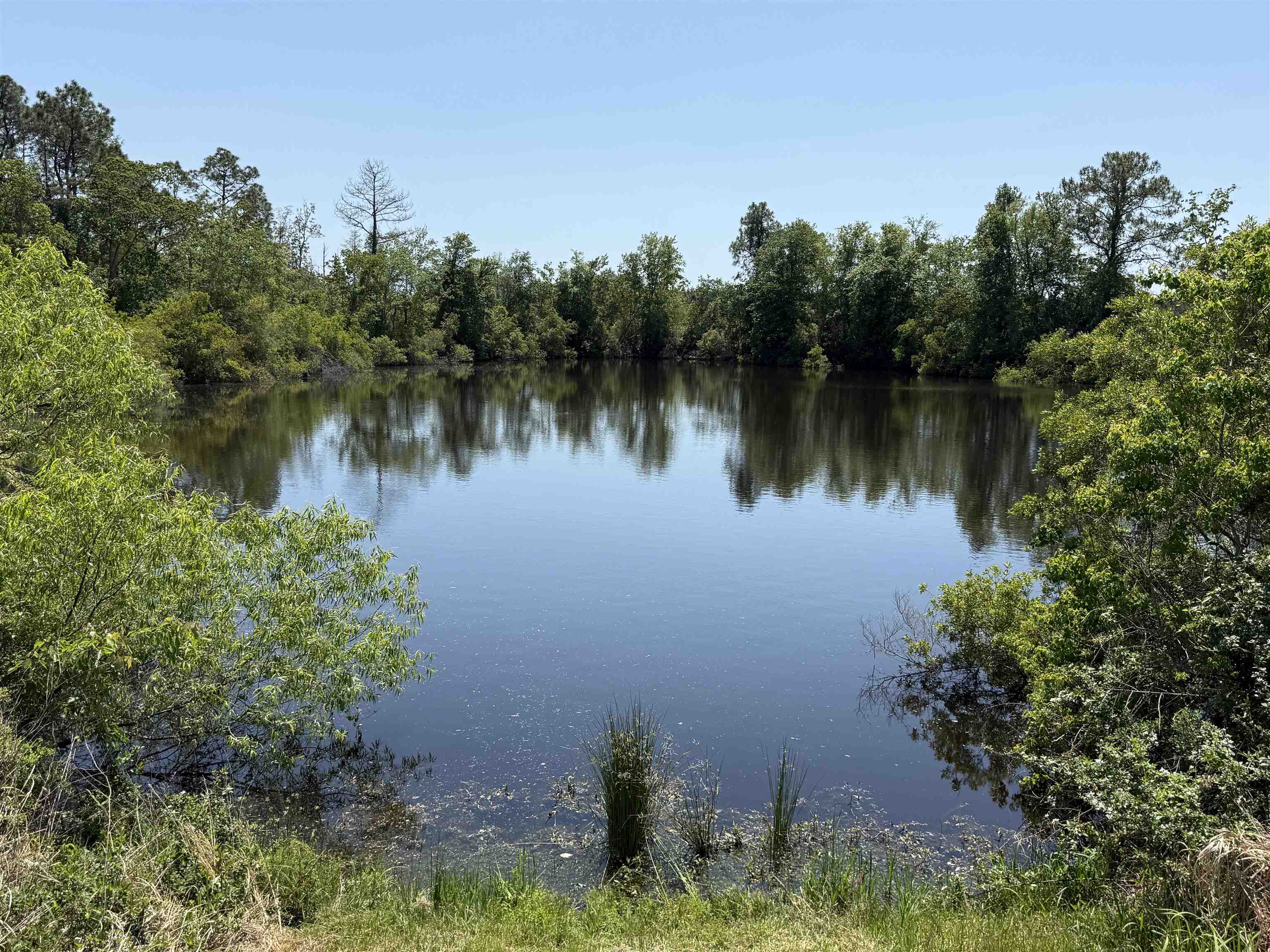 87 County Road 87 Elberta, AL 36530 - Photo 21 of 66 Pond